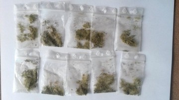 Depistat de poliţiştii din Năvodari cu etnobotanice
